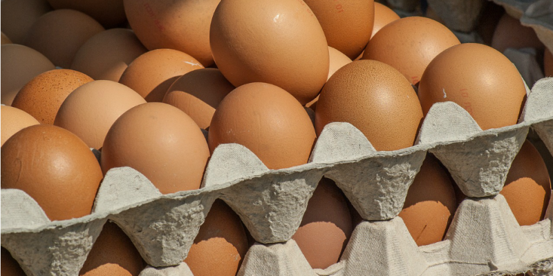 8 Gifts From God that You Must Guard Like a Crate of Eggs