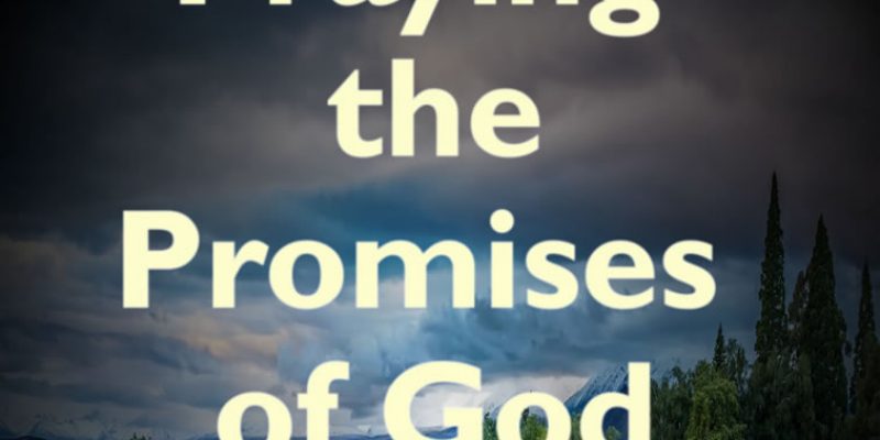 FREE BOOK ALERT! Praying the Promises of God for Daily Blessings & Breakthrough